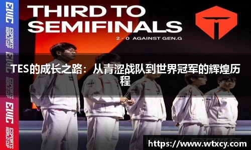 TES的成长之路：从青涩战队到世界冠军的辉煌历程